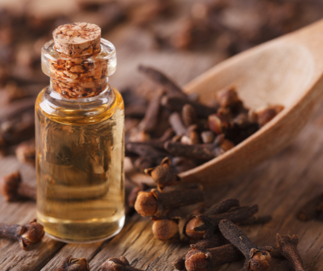 Clove Oil