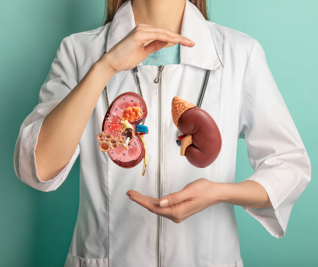 What is the Creatinine Level for Stage 3 Kidney Disease