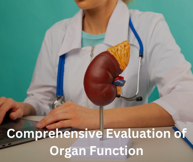 Comprehensive Evaluation of Organ Function of Master Health Checkup